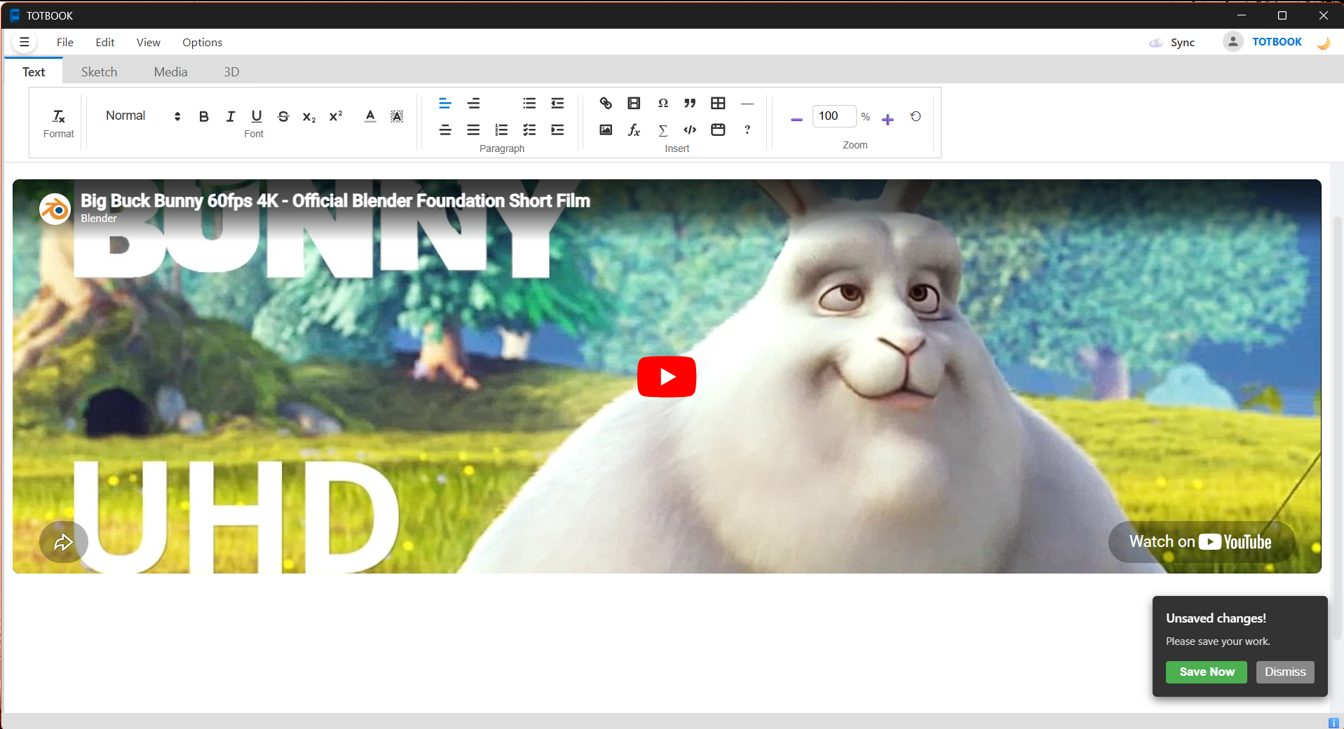 YouTube Video Embed